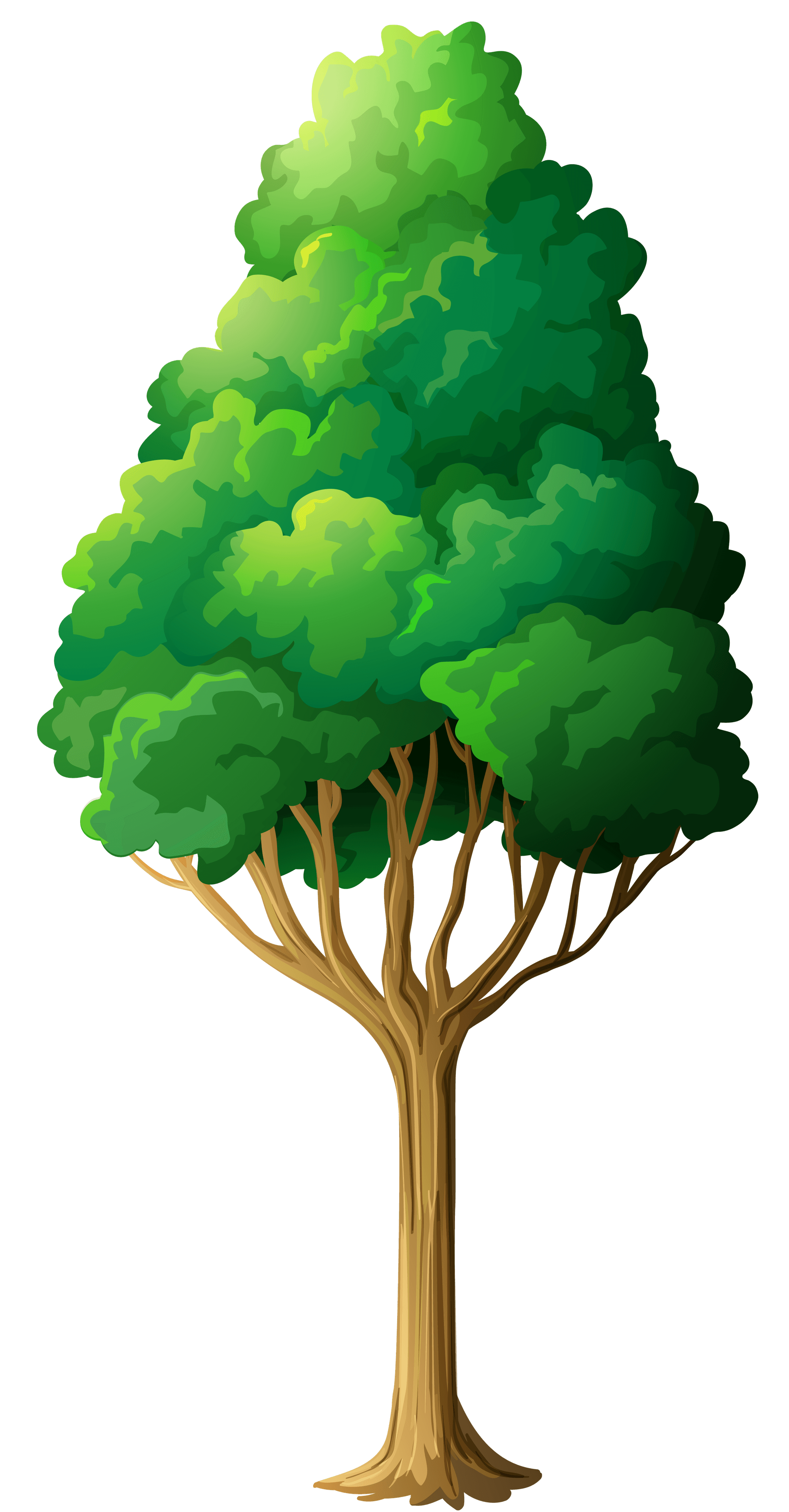 tree